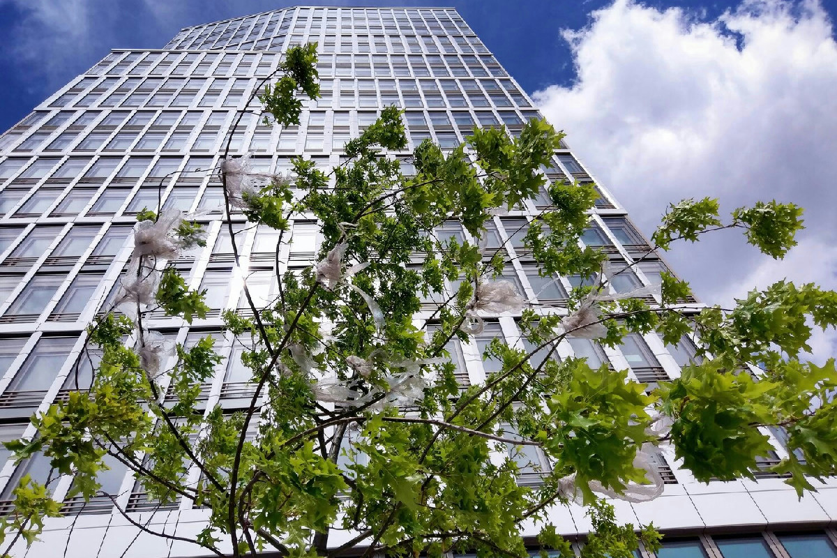 Costruzioni sostenibili a emissioni zero: guida all’efficienza energetica e all’innovazione edilizia oggi