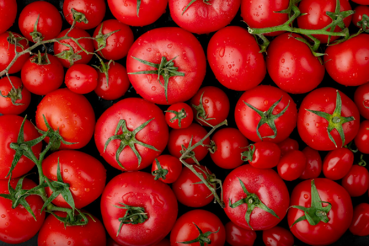 Pomodori: 10 curiosità affascinanti che cambiano la percezione di questo frutto rosso e versatile
