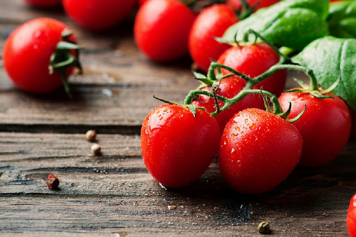 Pomodori: 10 curiosità affascinanti che cambiano la percezione di questo frutto rosso e versatile